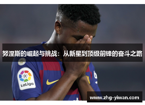 努涅斯的崛起与挑战：从新星到顶级前锋的奋斗之路